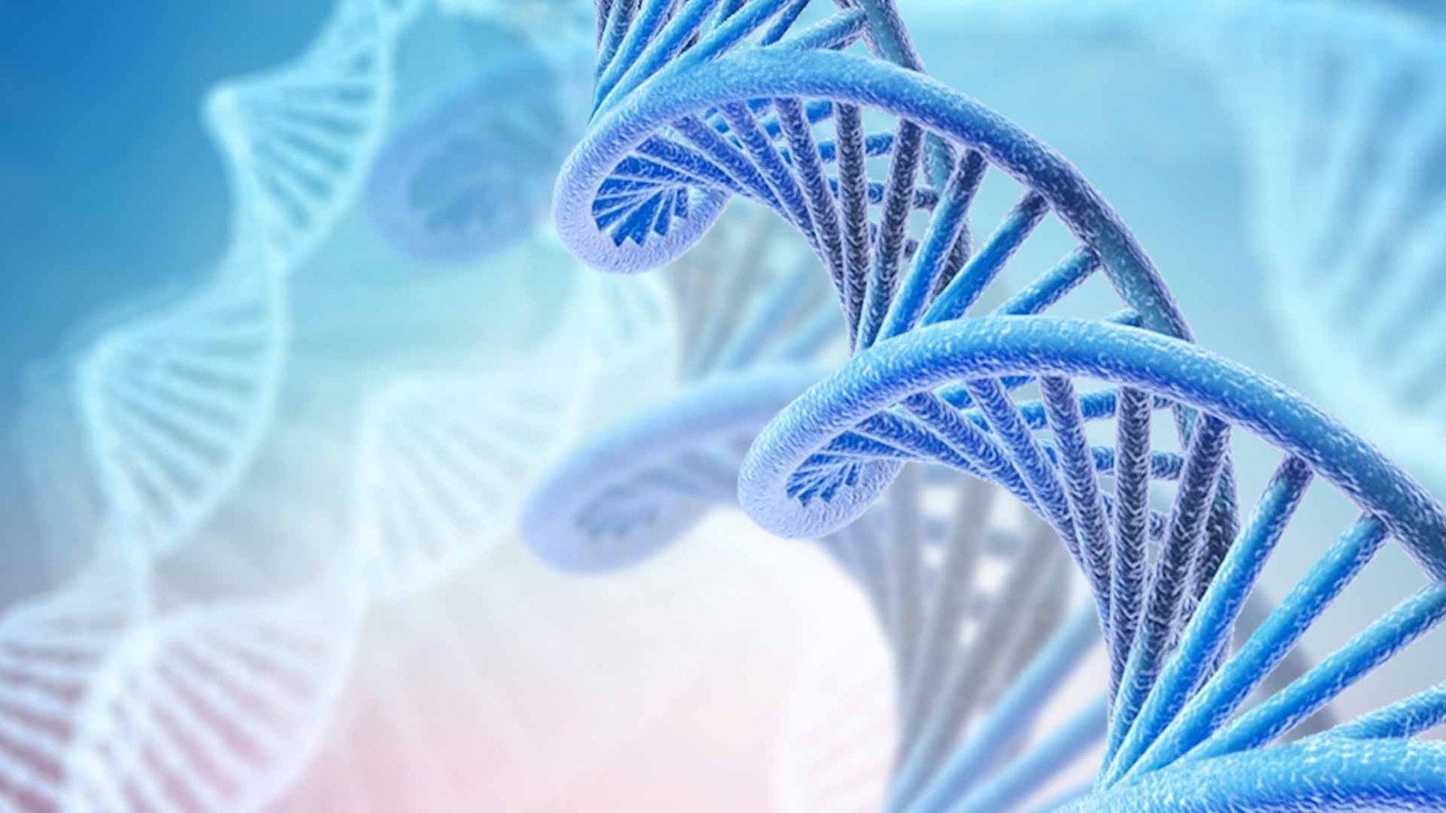 When to See a Symptoms You Shouldn’t Ignore